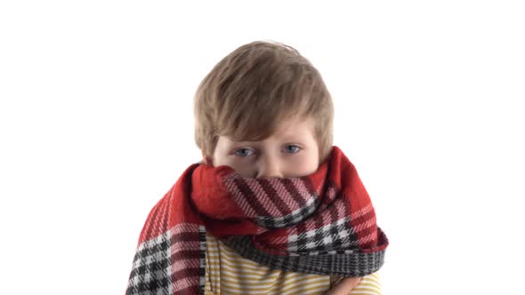 Portrait of a Cold Little Boy Wrapped Up in a Warm Scarf in a Studio on a White Background