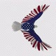 American Eagle - USA Flag - Flying Transition - V - 315