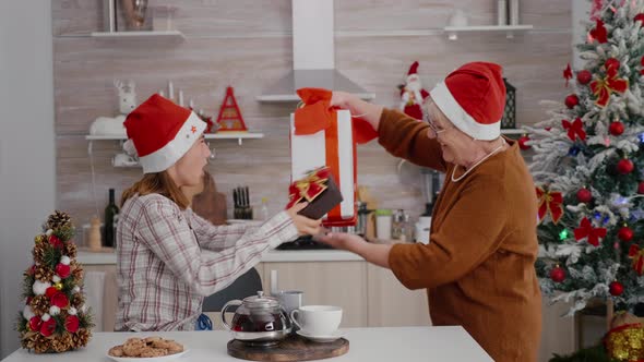 Grandmother Suprising Grandchild with Wrapper Present Gift Enjoying Traditional Winter Holiday alt