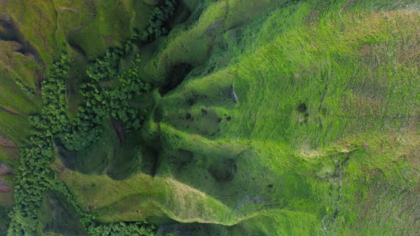 Aerial Observation From Above Over the Mountain Hollow Totally Covered with Tropical Grass alt