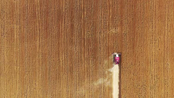 Top View of Combine on Harvest Field alt