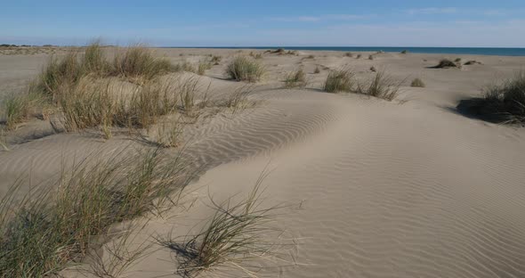 Wild landscape, Espiguette, Camargue, France. Sand landscape, Espiguette, Gard department, France alt