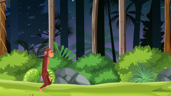The monkey is walking in the forest