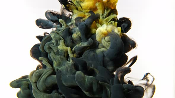 Color Black and Yellow Paint Drops in Water with White Background Slow Motion alt
