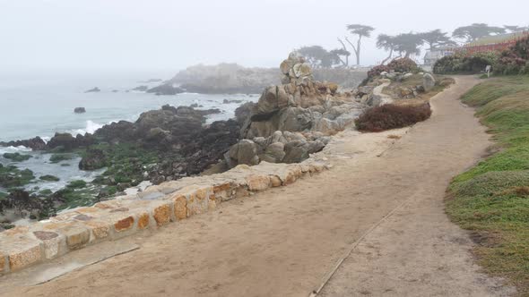 Rocky Ocean Beach Sea Waves in Foggy Misty Weather Monterey California Coast