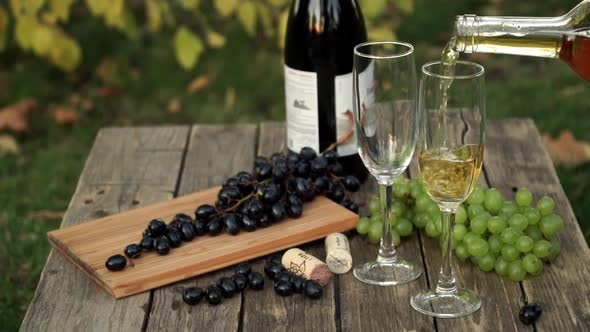 White Wine is Poured Into Glass on Table with Grapes on Background of Vineyard