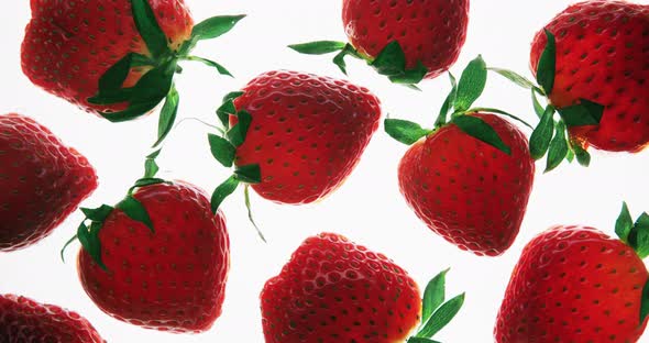 Crushing and Squeezing Lot of Whole Strawberry Berries alt