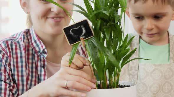 Cute Boy with Mother Putting Sign with Heart in Flower Pot with Growing Plant alt