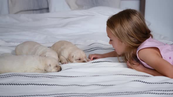Little Girl Lying on Bed with Sleeping Puppies alt