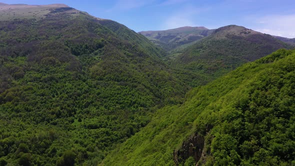 Aerial Shot of Caucasian Mountains Covered with Trees in Summer