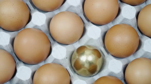 Many Brown Chicken Eggs and One Golden Egg in Turn Top View alt
