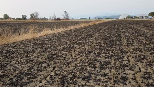 Dry Field Without Water alt