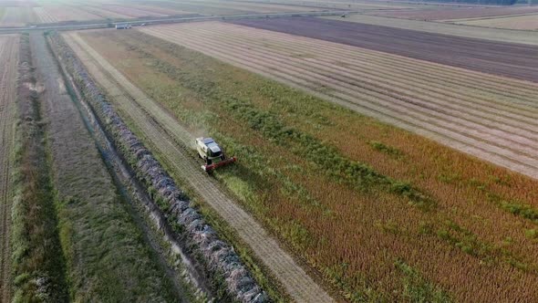 Agriculture Aerial Overhead