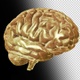 Computer Model of the Human Brain  - VideoHive Item for Sale