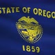 Oregon State Flag Background 4K - VideoHive Item for Sale