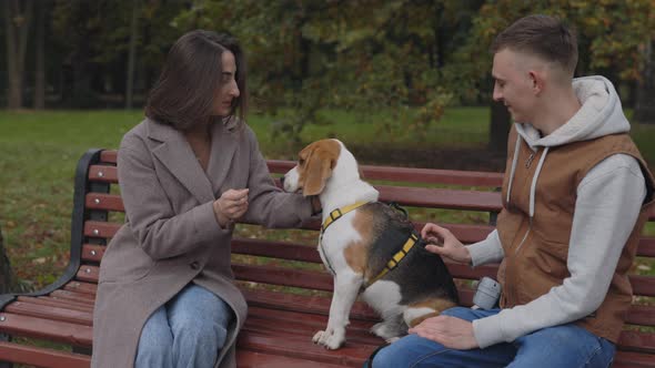 Happy Couple Sitting on Bench with Their Cute Beagle alt