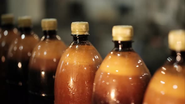 Pet Bottles Filled with Beer on a Conveyor Line