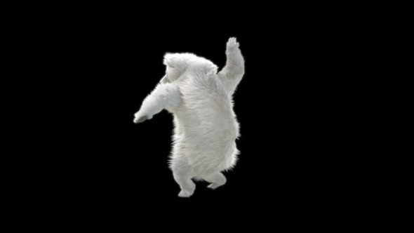 173 Bear Hand Club Combo HD alt