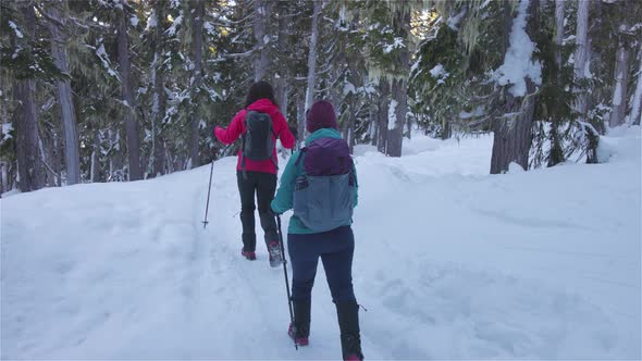 Adventure Girl Friends Hiking in Canadian Mountain Nature During Winter Sunny Morning alt