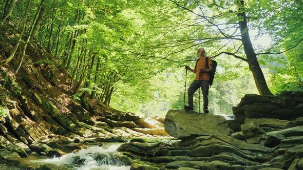 Senior Male Hiker with Backpack and Nordic Walking PolesStanding on a Large Rock alt