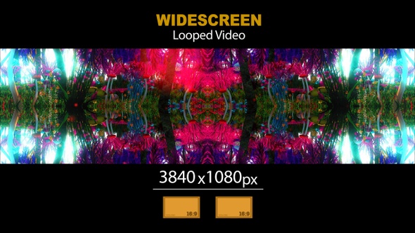 Widescreen Exotic Forest Mirror 01