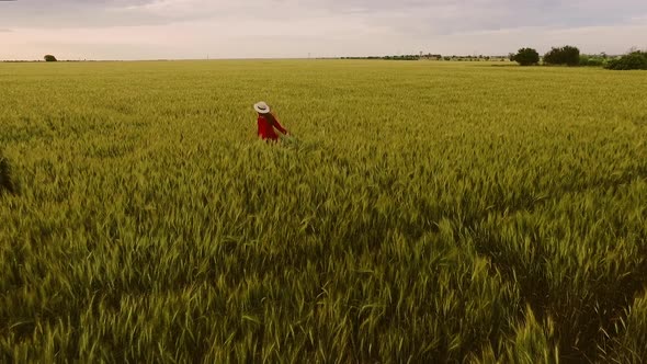 Slow Motion Romantic Shot of Young Redhead Girl in Red Dress and Cute Hat Walking in Wheat Field