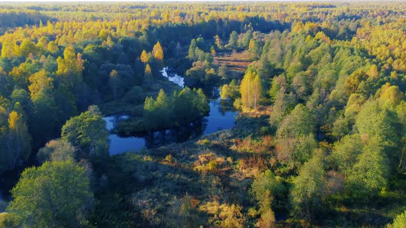 Aerial View of the River Among Forest in the Wild During Fall Season at Sunset