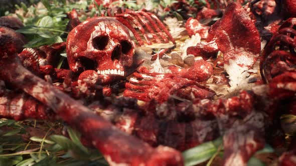 Bloody Bones And Skulls
