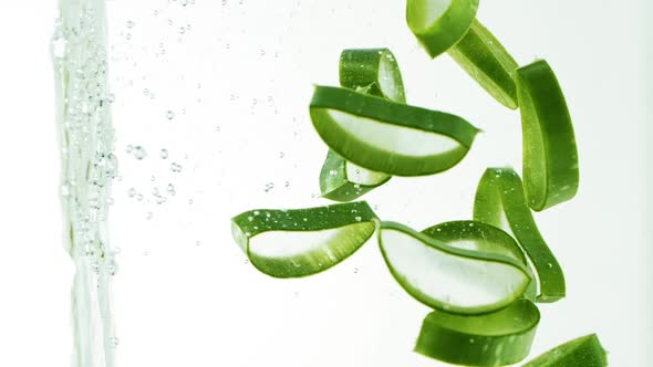 Slow Motion of Aloe Vera Plant Slices Falling Into Water and Splashing alt