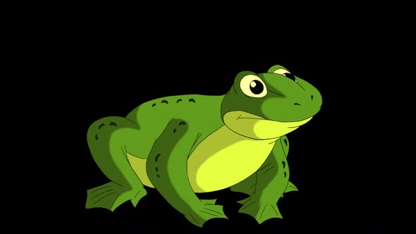 Little green frog croaks alpha mate