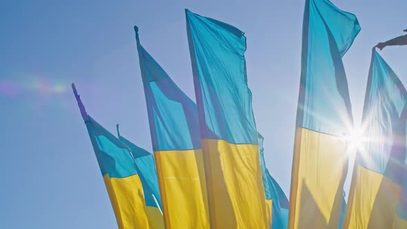 the Flag of Ukraine a Silk Flag Waving Against the Background of the Setting Blue Sky on a Large alt