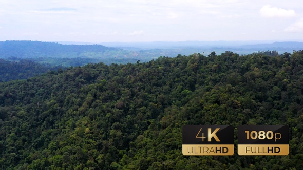 AH - Forest In The Mountains alt