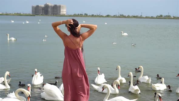 Back View of Woman Sitting on the Beach with Swans