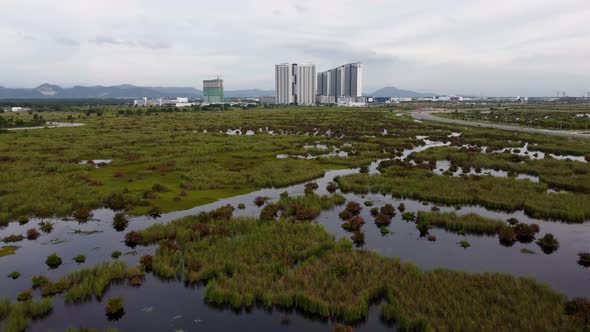 Aerial fly over wetland with development of Batu Kawan town alt