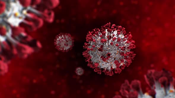 Fictional Image of Coronavirus Infection Looped