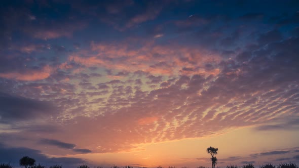 Beautiful sky during sunset alt