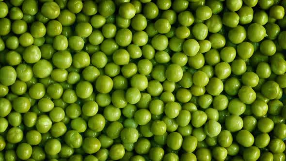 Peas Rotating alt