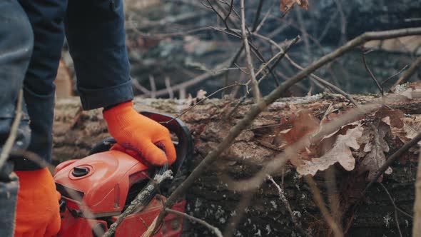 Woodworker Is Using a Chainsaw To Cut a Tree Trunk, Close-up alt