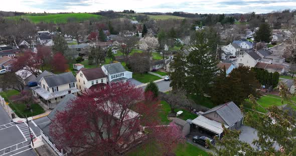 Homes in American town during spring. Pink tree blossoms on sunny day. Aerial view of old fashioned alt