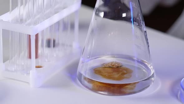 Research in  medical science lab drips biological material into a test tube alt