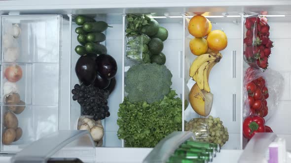 Vertical Shoot of Fridge or Refrigerator Full of Fresh Organic Vegetables and Fruits alt