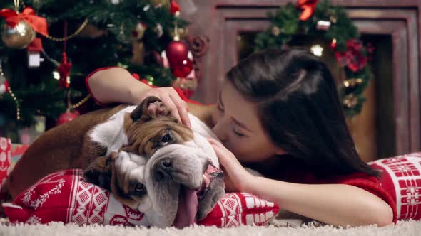 Charming Asian Girl Loves and Caresses a Cute Funny Bulldog Under the Christmas Tree alt