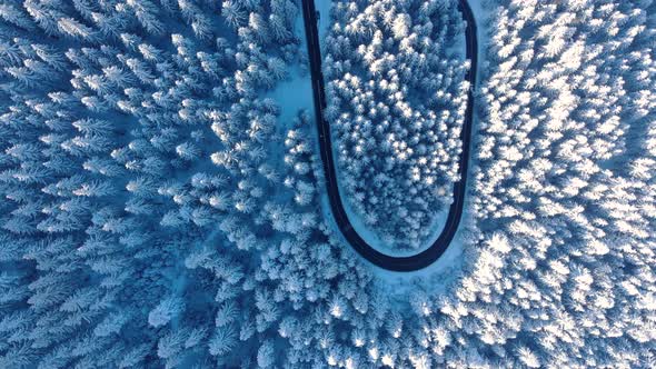 Scenic View Of White Treetops Along Winding Asphalt Road During Winter alt
