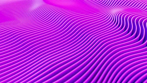 Animation of Wave Movements of Purple Geometric Lines. Seamless