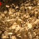 Oats Falling In The Air In Slow Motion A Top Shot 4K - VideoHive Item for Sale