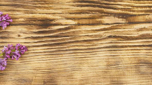 Branches of Fresh Fragrant Lilacs Lie on a Burnt Wooden Background alt