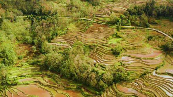 Aerial shot of the famous terraced rice fields of Yuanyang County China alt