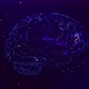 Digital Brain Neural Data Blue - VideoHive Item for Sale