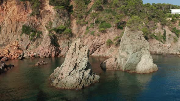 Fit women floating on paddle board in sea alt