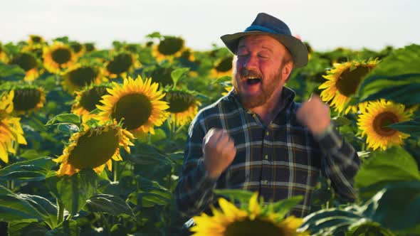 Amusing Pretty Senior Bearded Happy Farmer Dancing in the Sunflower Field at Sunset alt